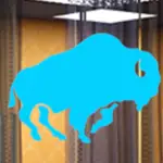 Blue Bison Media logo in a modern office space background